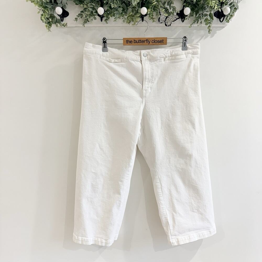 Madewell plus size Emmett Wide Leg White Jeans Size 33P F4100
